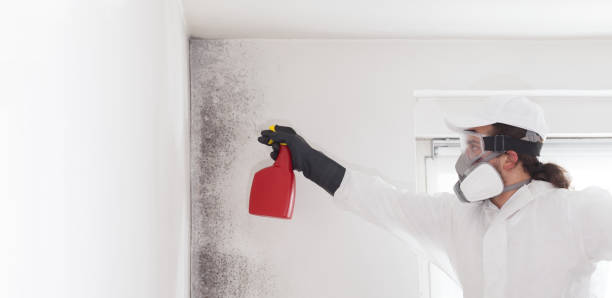Best Mold Testing and Inspection Services in Coshocton, OH
